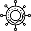 Mycotoxin Mold
